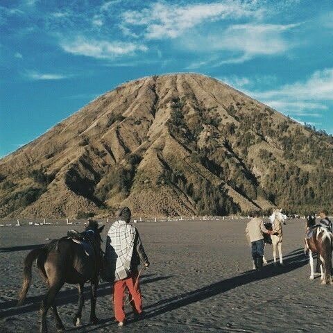 Jalan-Jalan ke Bromo: Menikmati Pesona Alam di Atas Awan